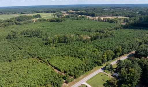 23-print-Walter-Grissom-Lot-23