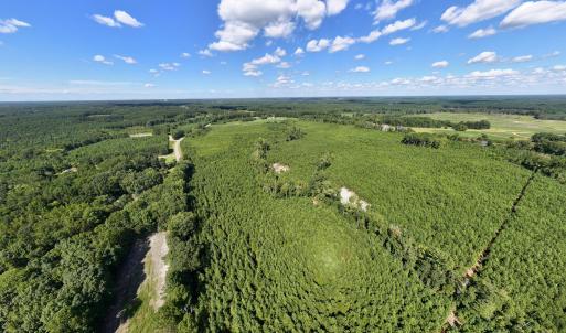 27-print-Walter-Grissom-Lot-27