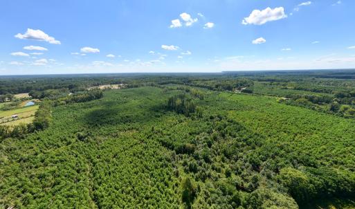 5-print-Walter-Grissom-Lot-5