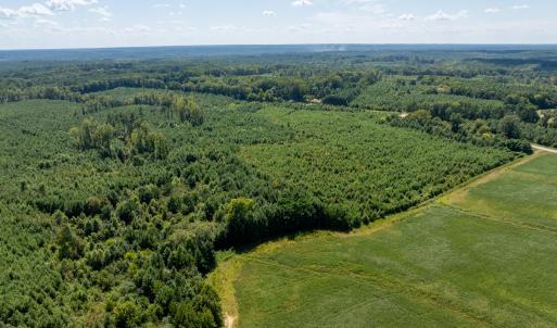 8-print-Walter-Grissom-Lot-8