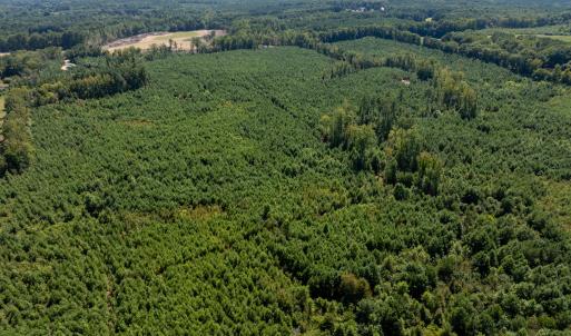 10-print-Walter-Grissom-Lot-10