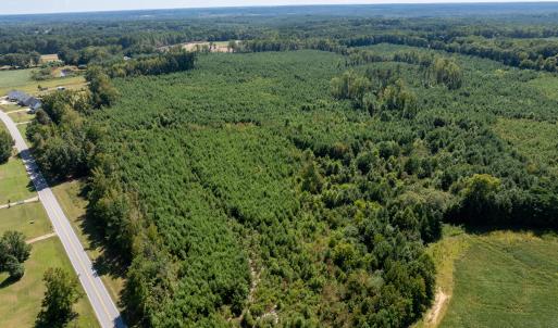 7-print-Walter-Grissom-Lot-7