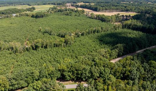 25-print-Walter-Grissom-Lot-25