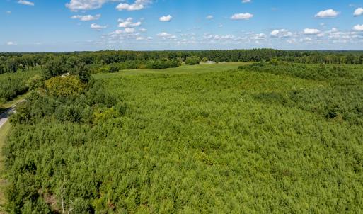 31-print-Walter-Grissom-Lot-31