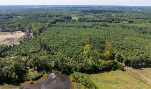 12-print-Walter-Grissom-Lot-12