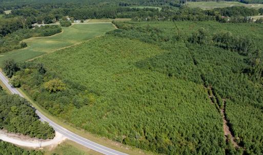 21-print-Walter-Grissom-Lot-21