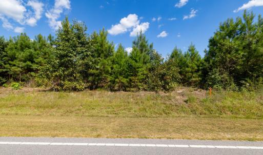 30-print-Walter-Grissom-Lot-30