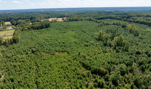 9-print-Walter-Grissom-Lot-9