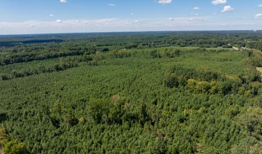 16-print-Walter-Grissom-Lot-16