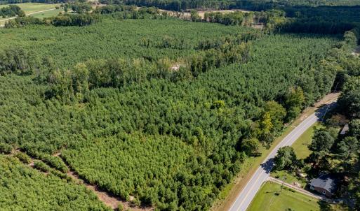 20-print-Walter-Grissom-Lot-20