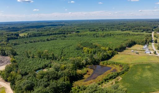 15-print-Walter-Grissom-Lot-15