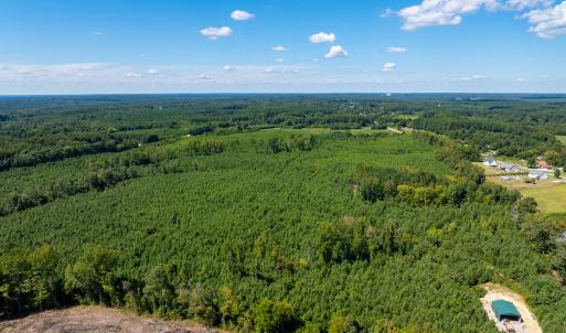 17-print-Walter-Grissom-Lot-17