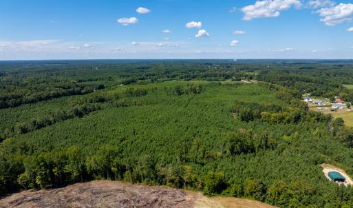 18-print-Walter-Grissom-Lot-18