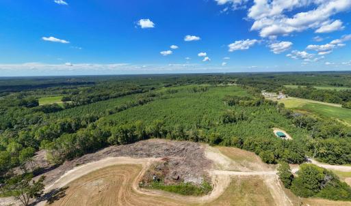 19-print-Walter-Grissom-Lot-19