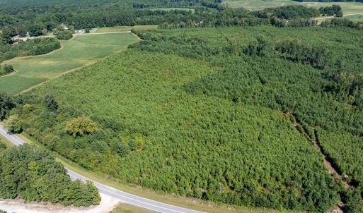 22-print-Walter-Grissom-Lot-22