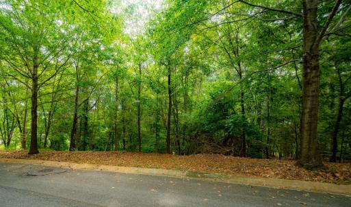 4-web-or-mls-105 Wright Hill-3