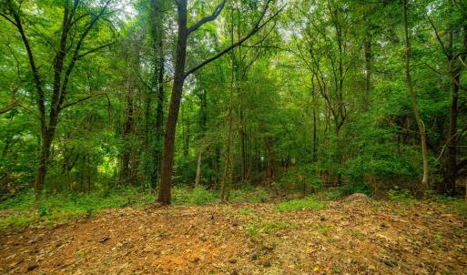 5-web-or-mls-105 Wright Hill-4