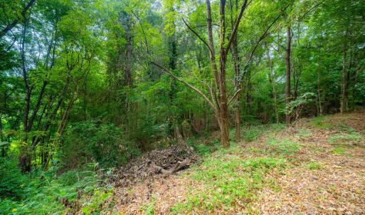 6-web-or-mls-105 Wright Hill-5