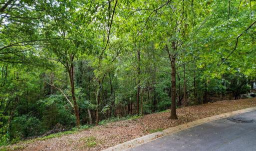 7-web-or-mls-105 Wright Hill-6