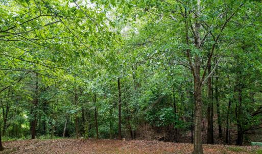 8-web-or-mls-105 Wright Hill-7