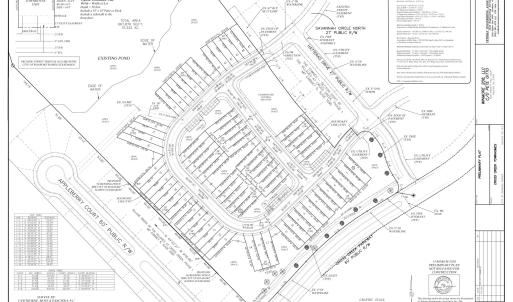 Preliminary Plan_Roanoke Rapids (version