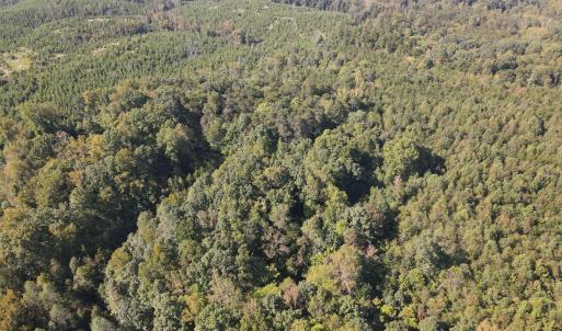 DJI_0503