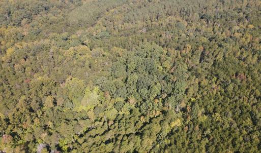 DJI_0505