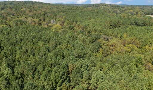 8-web-or-mls-DJI_20250919130428_0046_D