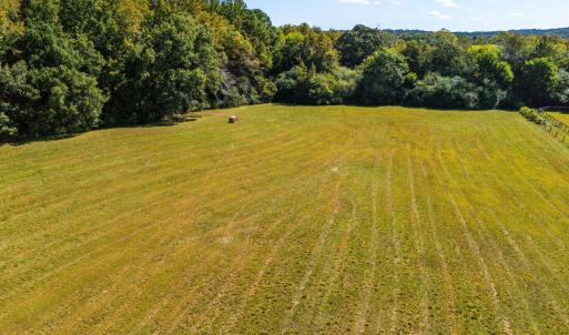 81 Little Creek Ln-8