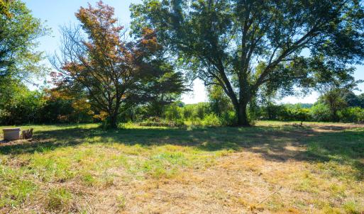 81 Little Creek Ln-24