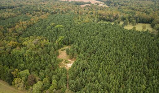 5-web-or-mls-DJI_0169