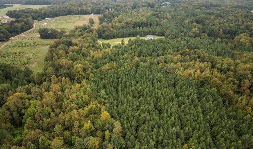 15-web-or-mls-DJI_0179