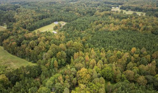 16-web-or-mls-DJI_0180