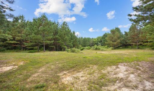 25-web-or-mls-IMG_2513