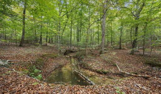 26-web-or-mls-IMG_2514