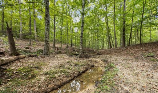 28-web-or-mls-IMG_2516