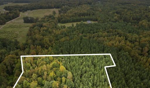 52-web-or-mls-DJI_0179_1