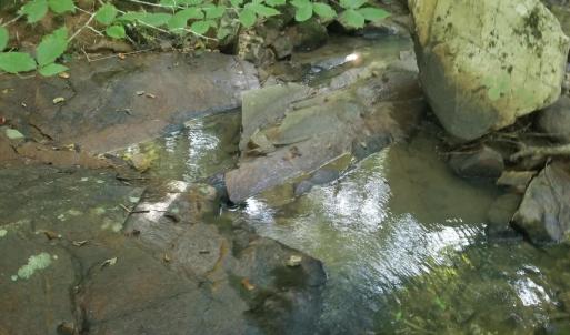 20250726_175432_Original