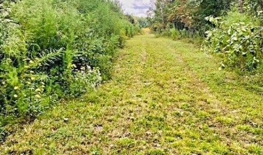 PTM path 3