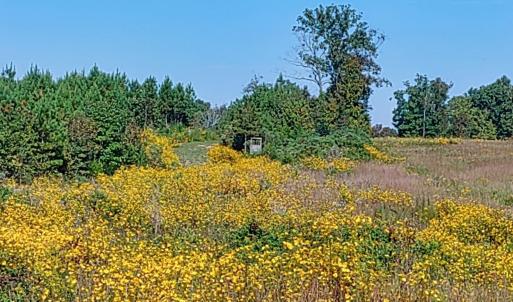 PTM field (1)