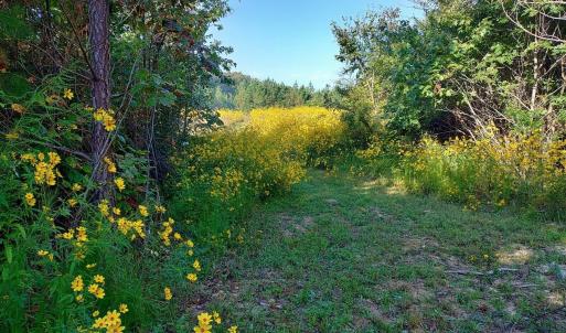 PTM fields