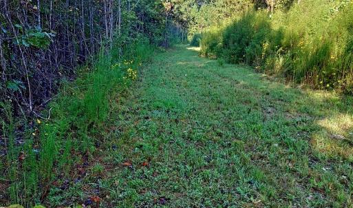 PTM path