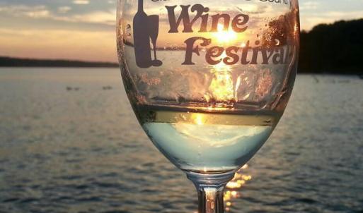 Wine Festival