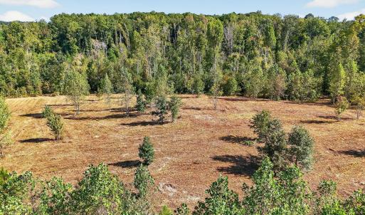 9-web-or-mls-009_DJI_20250922102646_0541