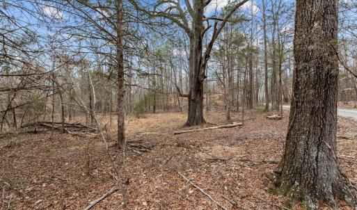 5-web-or-mls-_1190491