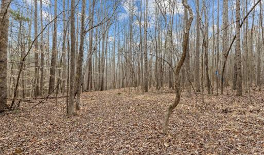 11-web-or-mls-_1190497