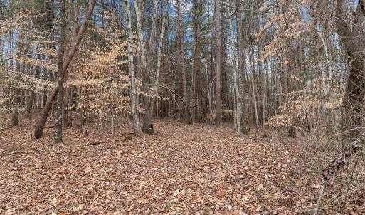 7-web-or-mls-_1190493