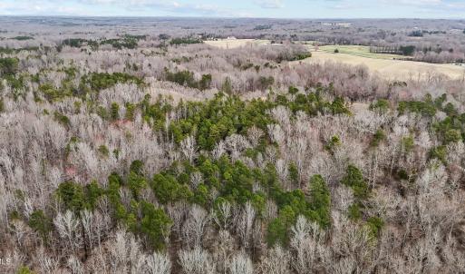 23-web-or-mls-DJI_20250310161802_0056_D