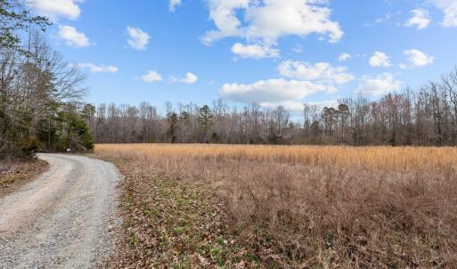 6-web-or-mls-_1190492