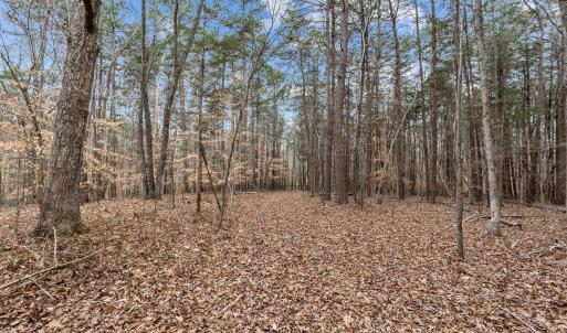 9-web-or-mls-_1190495
